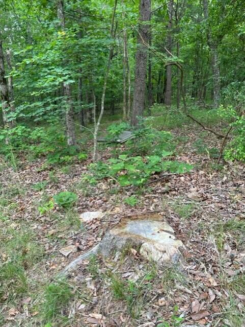 0 Eagle Bluff Road Rising Fawn, GA 30738 - Photo 8 of 10 thumbnail_IMG_5248