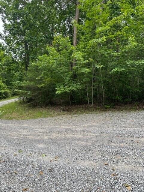 0 Eagle Bluff Road Rising Fawn, GA 30738 - Photo 10 of 10 thumbnail_IMG_5250