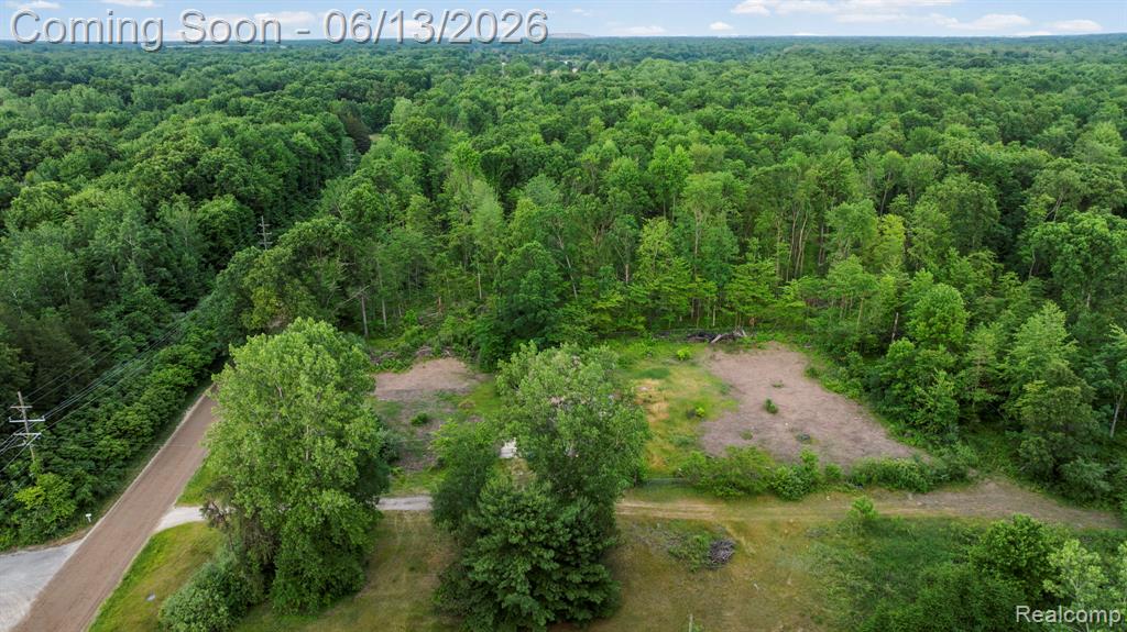 51105 Arkona Road Belleville, MI 48111 - Photo 31 of 32