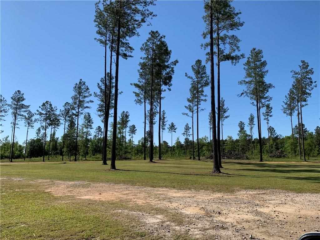 132 Perry Road Trout, LA 71371 - Photo 14 of 16 Gallery Image 14