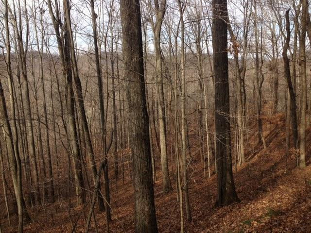 1 Skidmore Road Frenchburg, KY 40322 - Photo 3 of 3 Photo 3