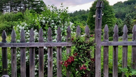 136 Hunt Farm Road Stockbridge, VT 05772 - Photo 11 of 11