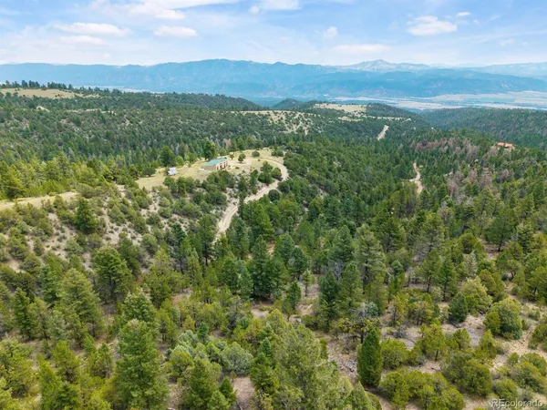 a view of a bunch of trees