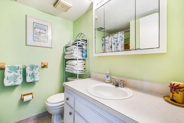 a bathroom with a sink toilet and shower curtain