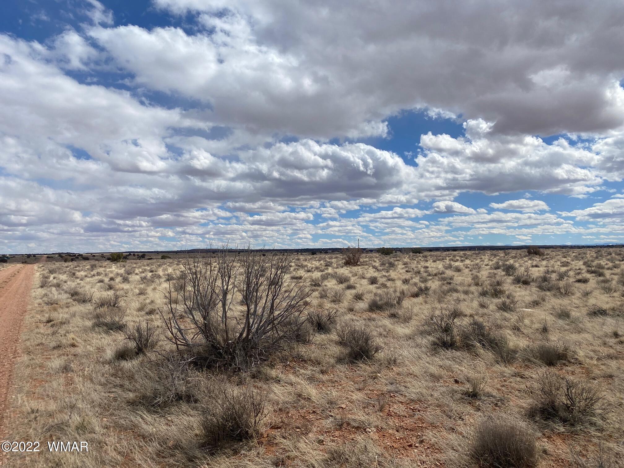7695 Ghost Tree Trail Snowflake, AZ 85937 - Photo 4 of 11