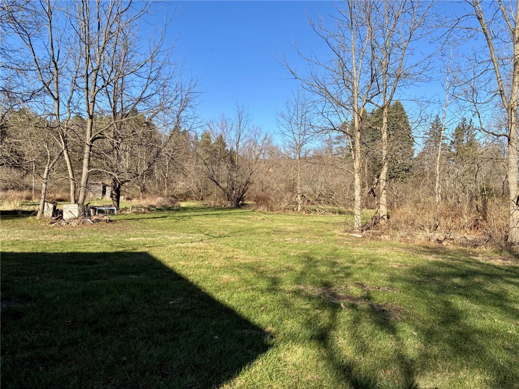 7279 County Route 14 Bath, NY 14810 - Photo 31 of 38