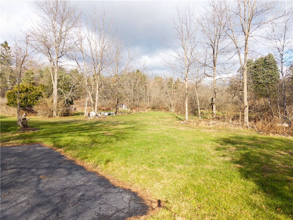 7279 County Route 14 Bath, NY 14810 - Photo 32 of 38
