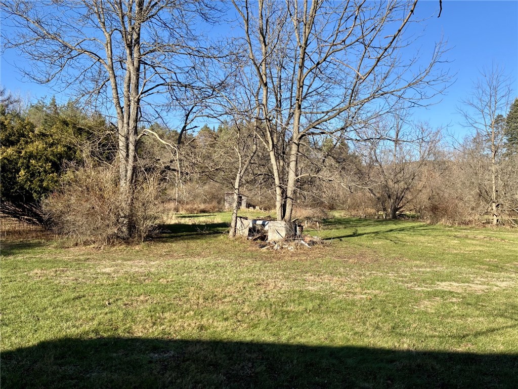 7279 County Route 14 Bath, NY 14810 - Photo 33 of 38