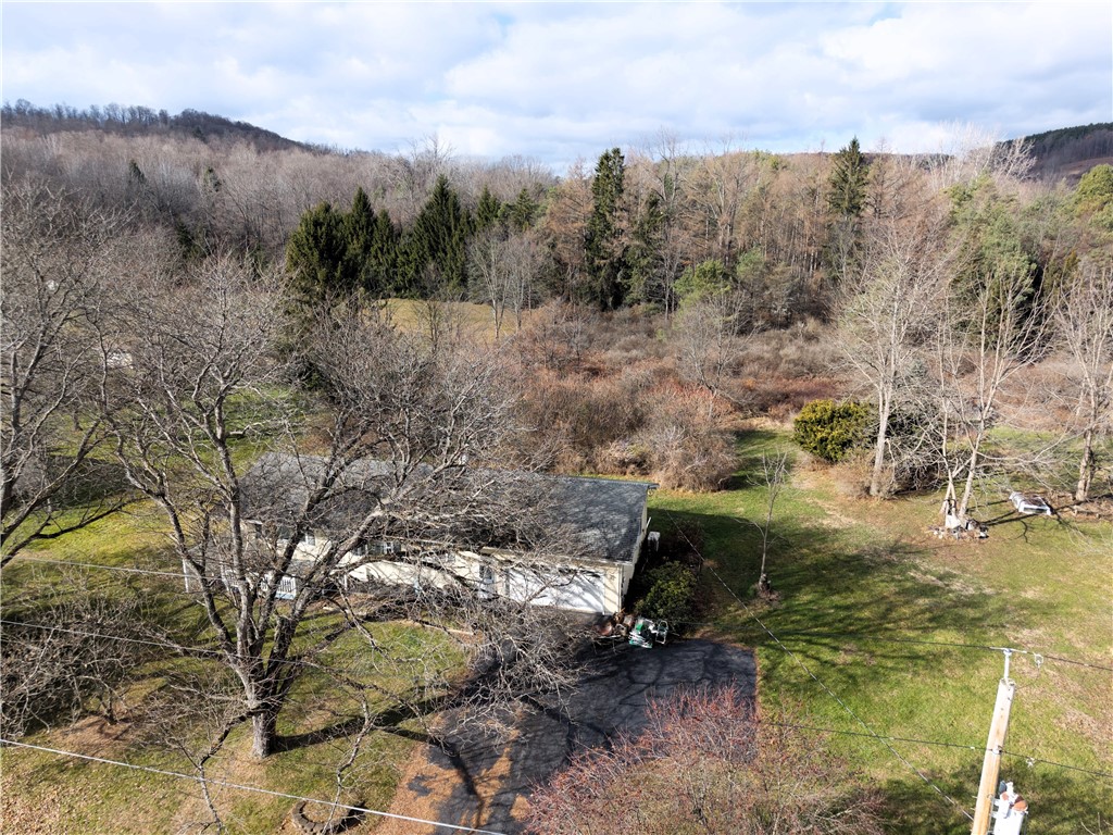 7279 County Route 14 Bath, NY 14810 - Photo 34 of 38