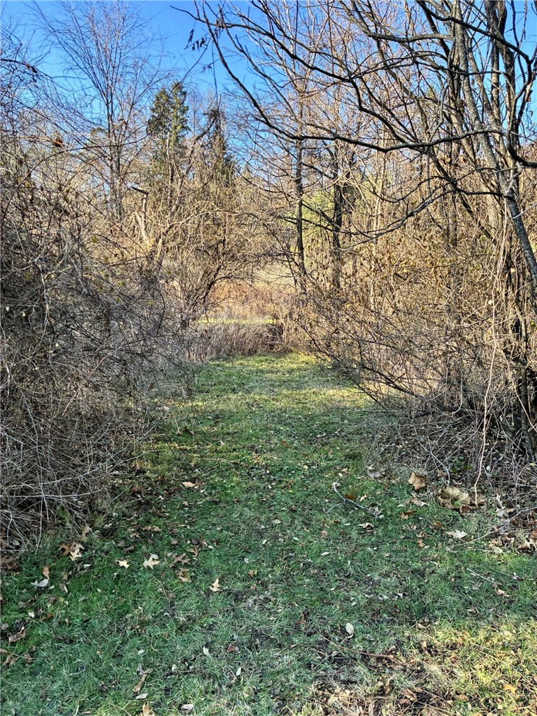 7279 County Route 14 Bath, NY 14810 - Photo 36 of 38