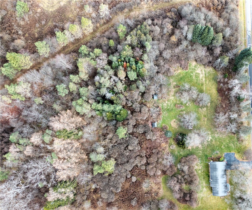 7279 County Route 14 Bath, NY 14810 - Photo 37 of 38