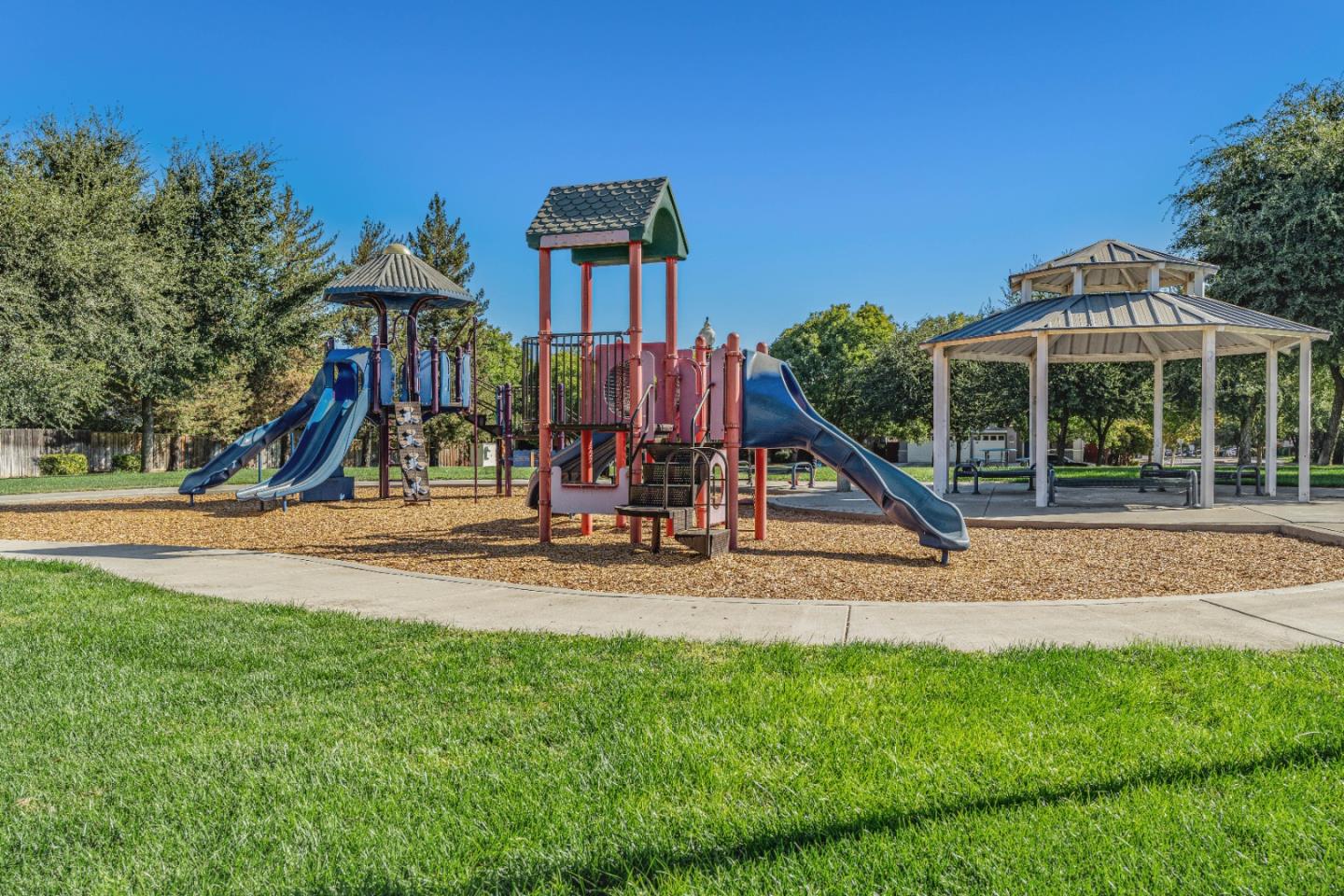 1433 Brahma Street Patterson, CA 95363 - Photo 42 of 43 a view of a house with swimming pool and a yard