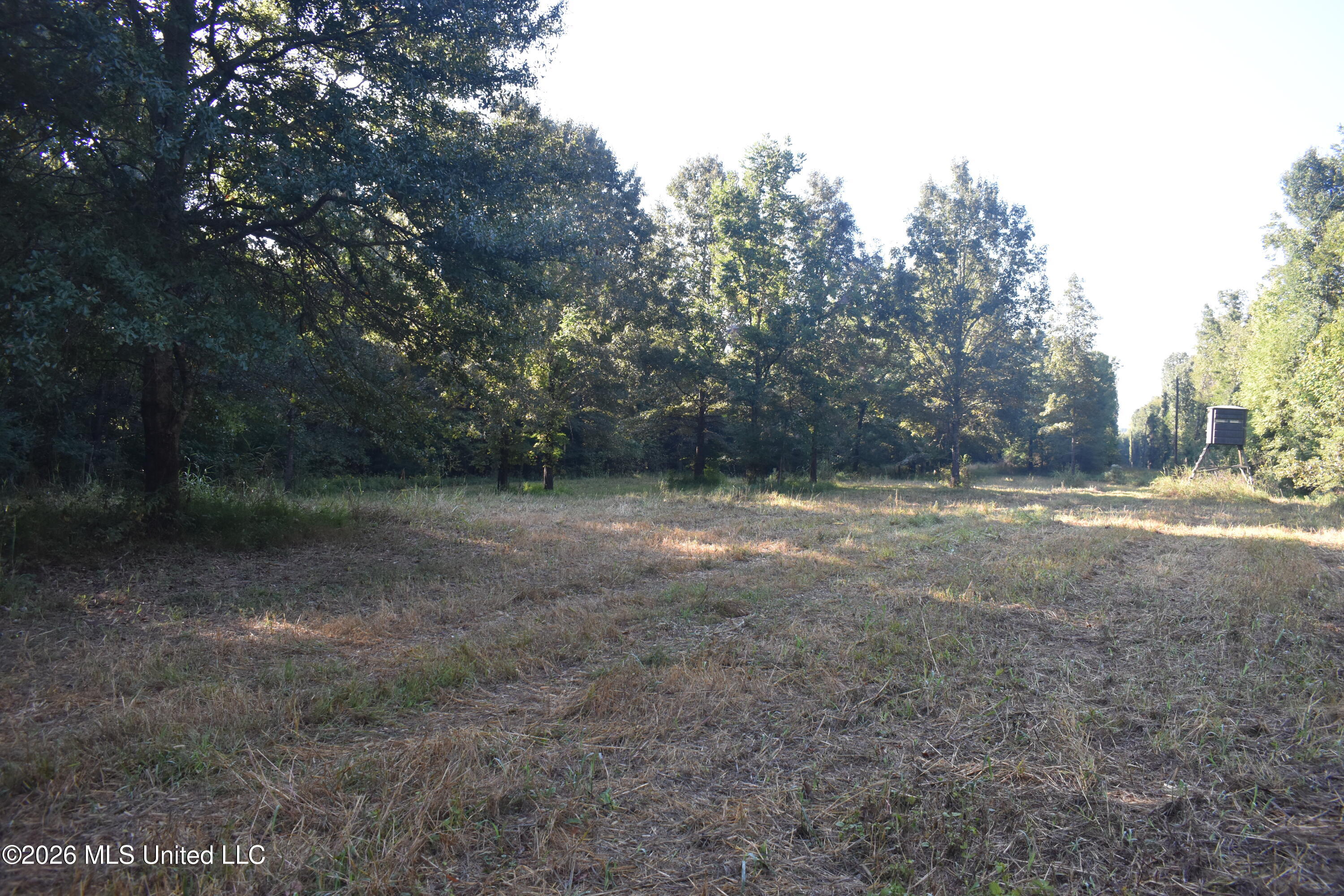 390 Old Panola Road Como, MS 38619 - Photo 10 of 71 DSC_0131