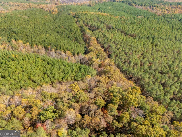 $9,000 | 0 Gun Club Rd Off, Tallapoosa, GA 30176