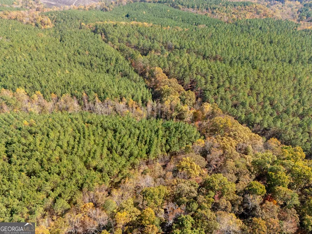 $9,000 | 0 Gun Club Rd Off, Tallapoosa, GA 30176