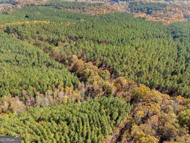 $9,000 | 0 Gun Club Rd Off, Tallapoosa, GA 30176