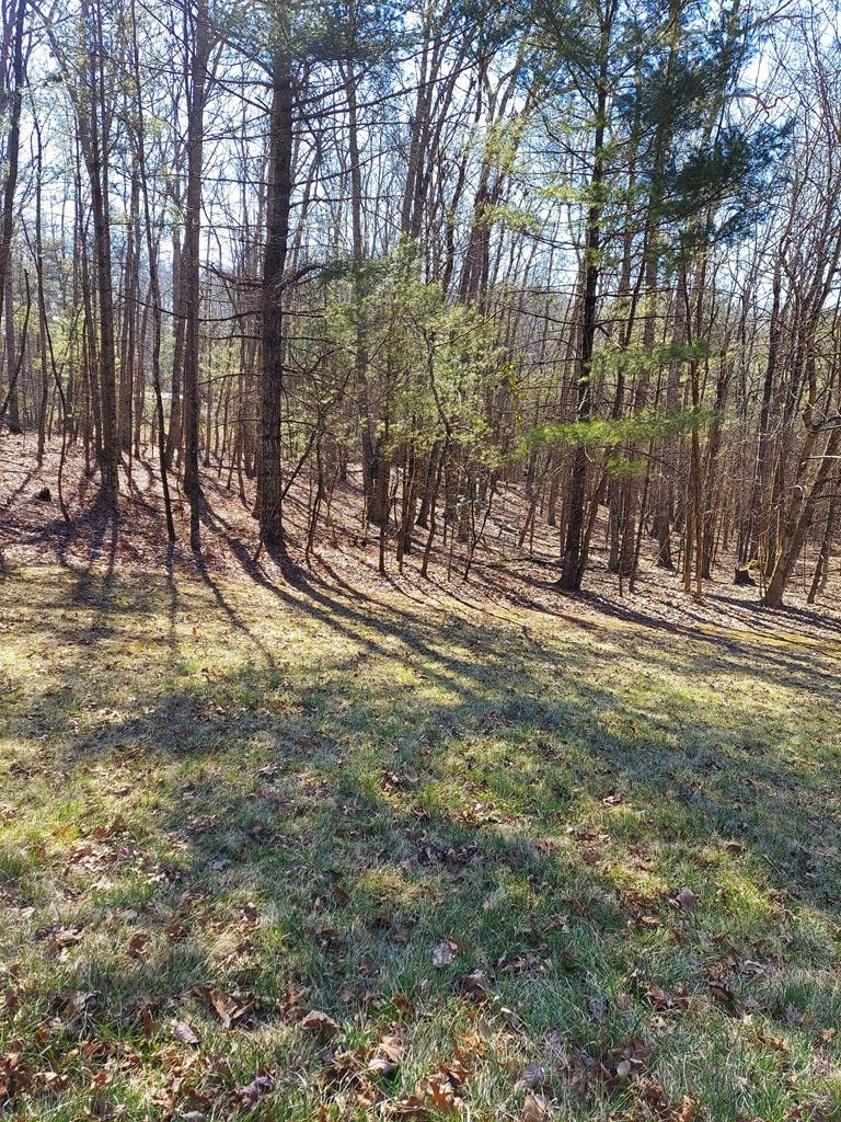 6 Wolfpen Ridge Road Galax, VA 24333 - Photo 13 of 18 Gallery Image 13