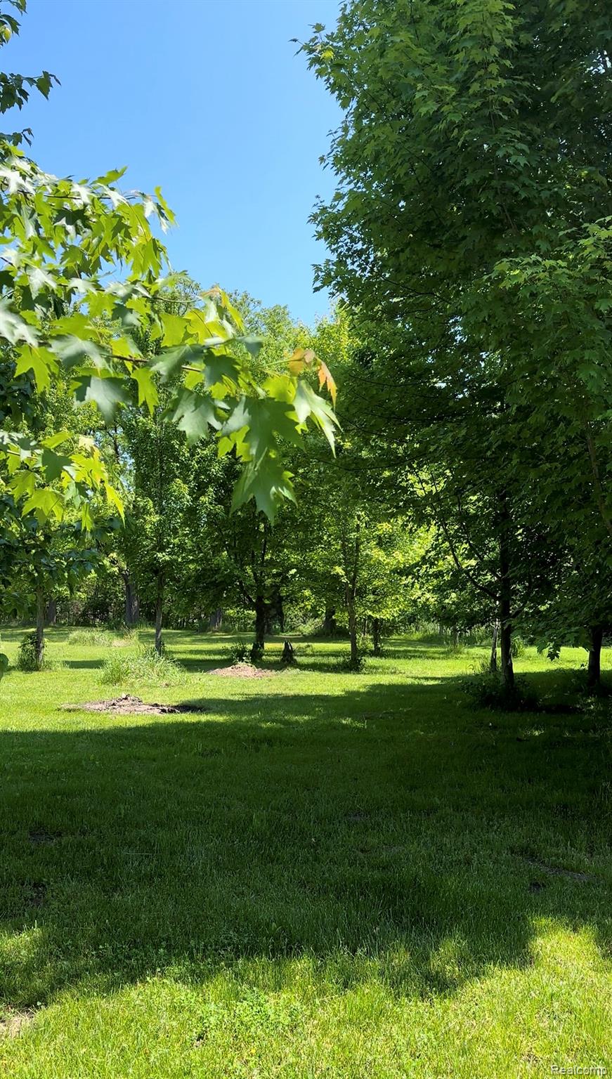 20918 Clark Road Belleville, MI 48111 - Photo 8 of 8 IMG_8432.jpeg