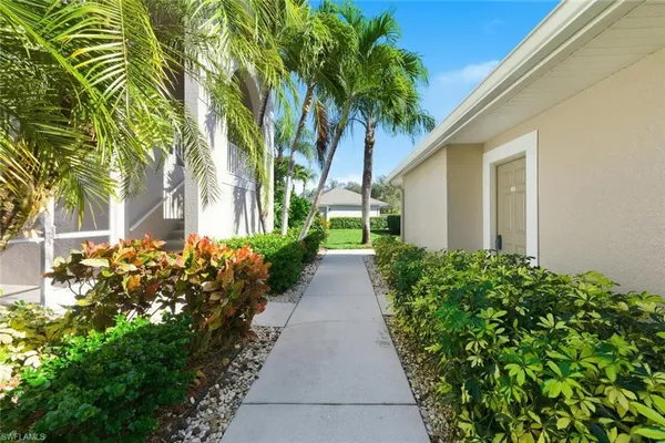 a view of a pathway with plants