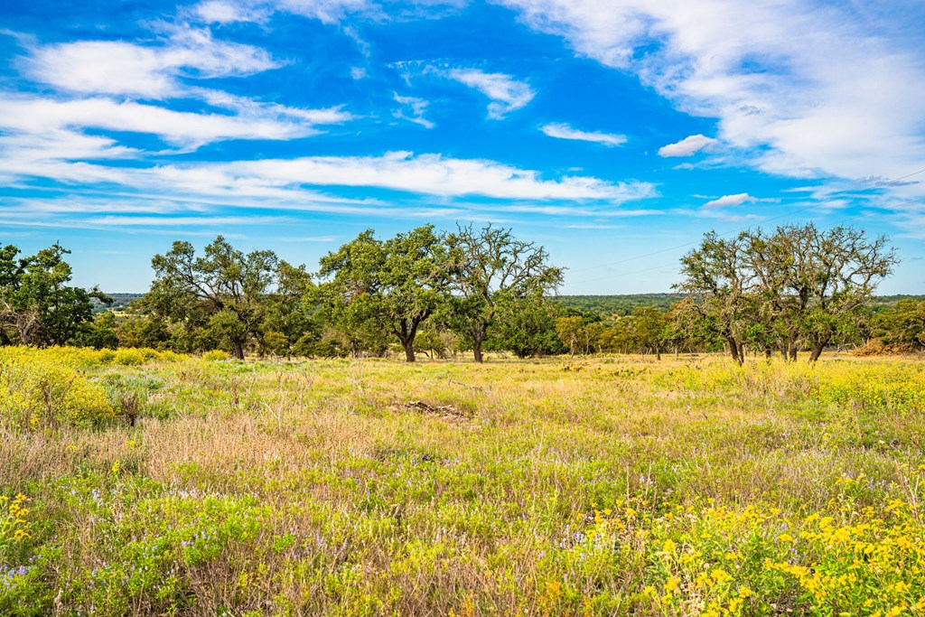 Lot 12 Reservation Road, Unit 12 Harper, TX 78631 - Photo 6 of 7 Gallery Image 6