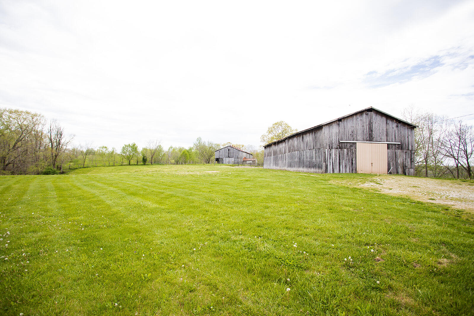 15095 Irvine Road Winchester, KY 40391 - Photo 6 of 57 8G1A5103