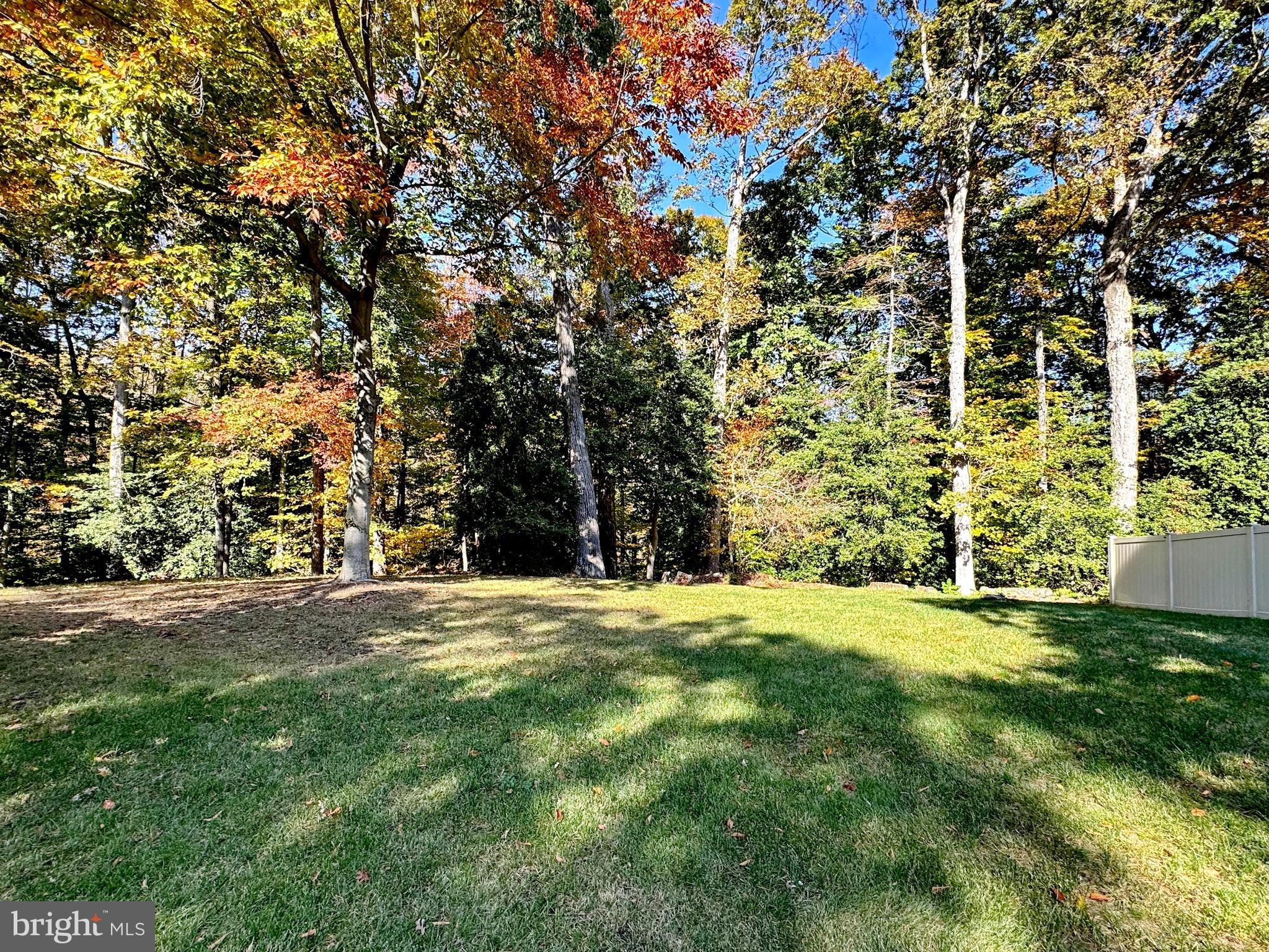 8150 Plowden Drive La Plata, MD 20646 - Photo 87 of 91