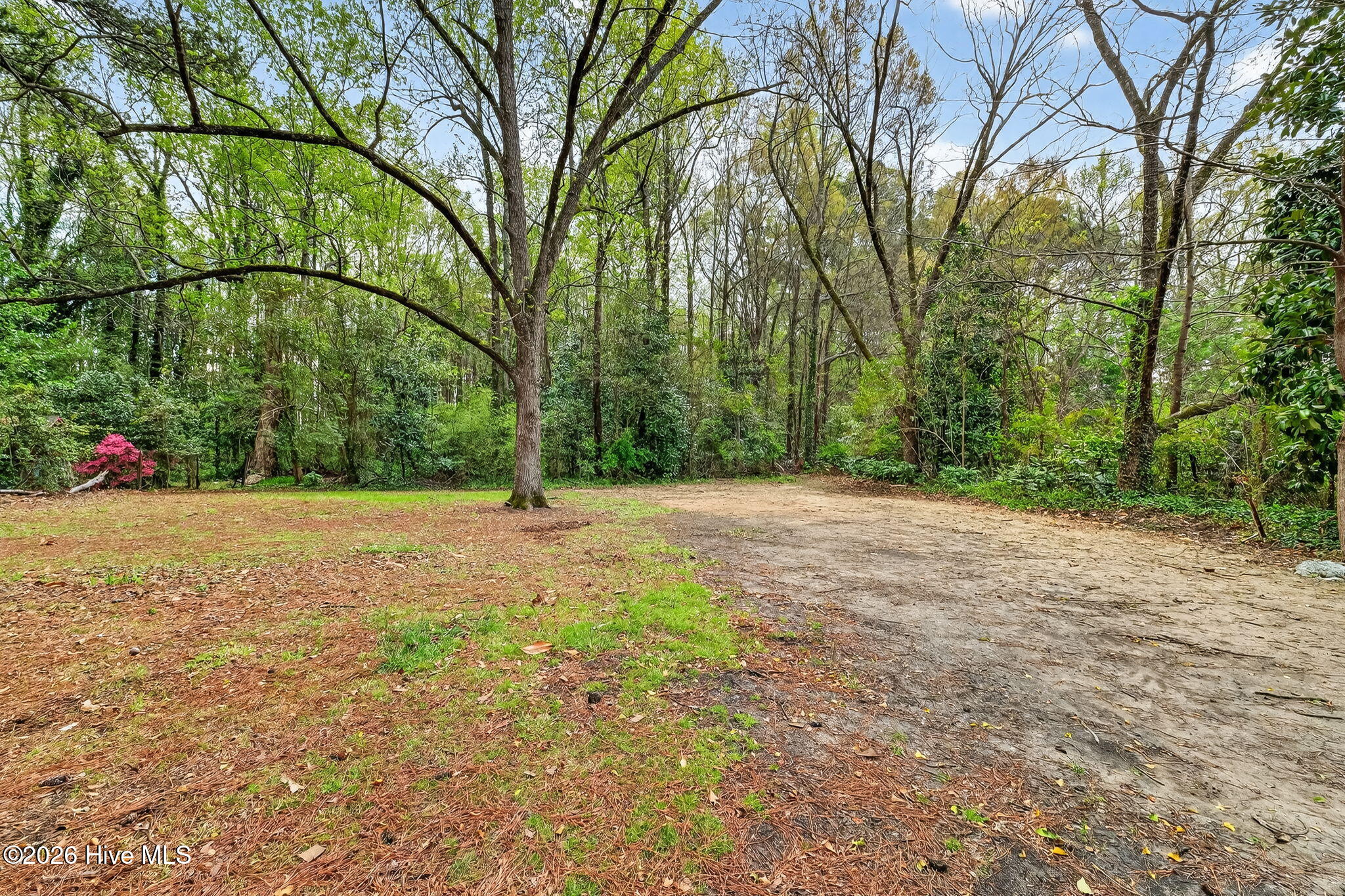 220 East Branch Street Spring Hope, NC 27882 - Photo 60 of 73 55-web-or-mls-DSC00117