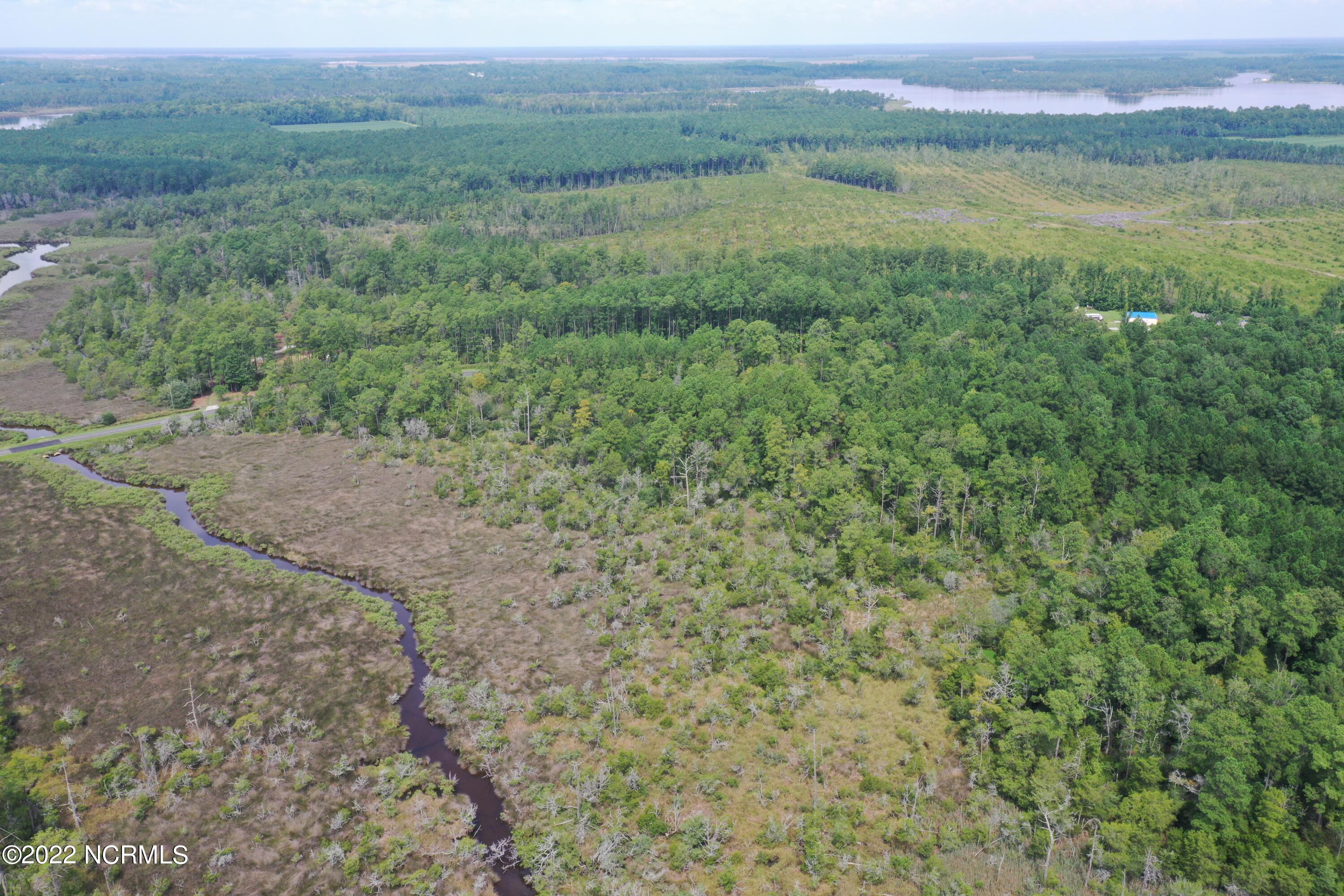 Off Florence Road Merritt, NC 28556 - Photo 12 of 13 DJI_0704