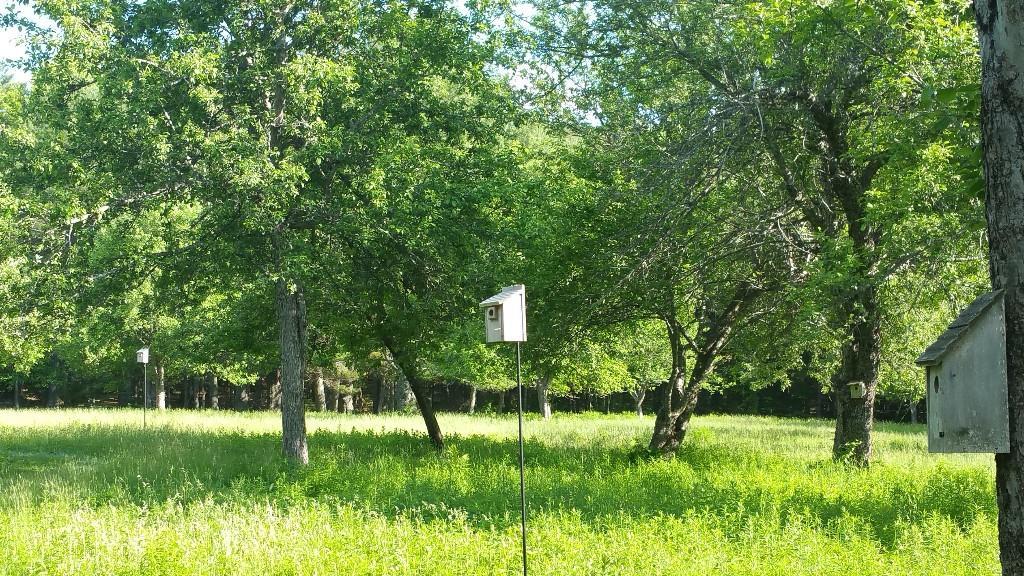 884 Millvale Road Bucksport, ME 04416 - Photo 12 of 17 Photo