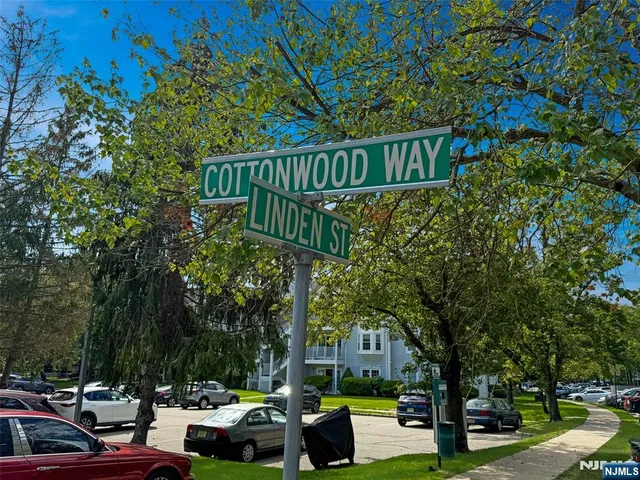 a view of street with sitting area and trees