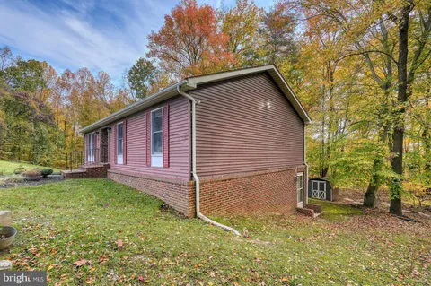 a backyard of a house with plants and large tree