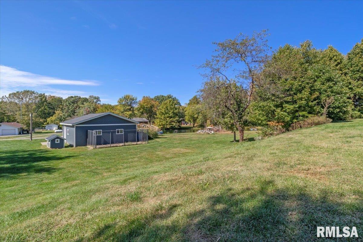 4007 Spaulding Orchard Road Springfield, IL 62711 - Photo 23 of 44