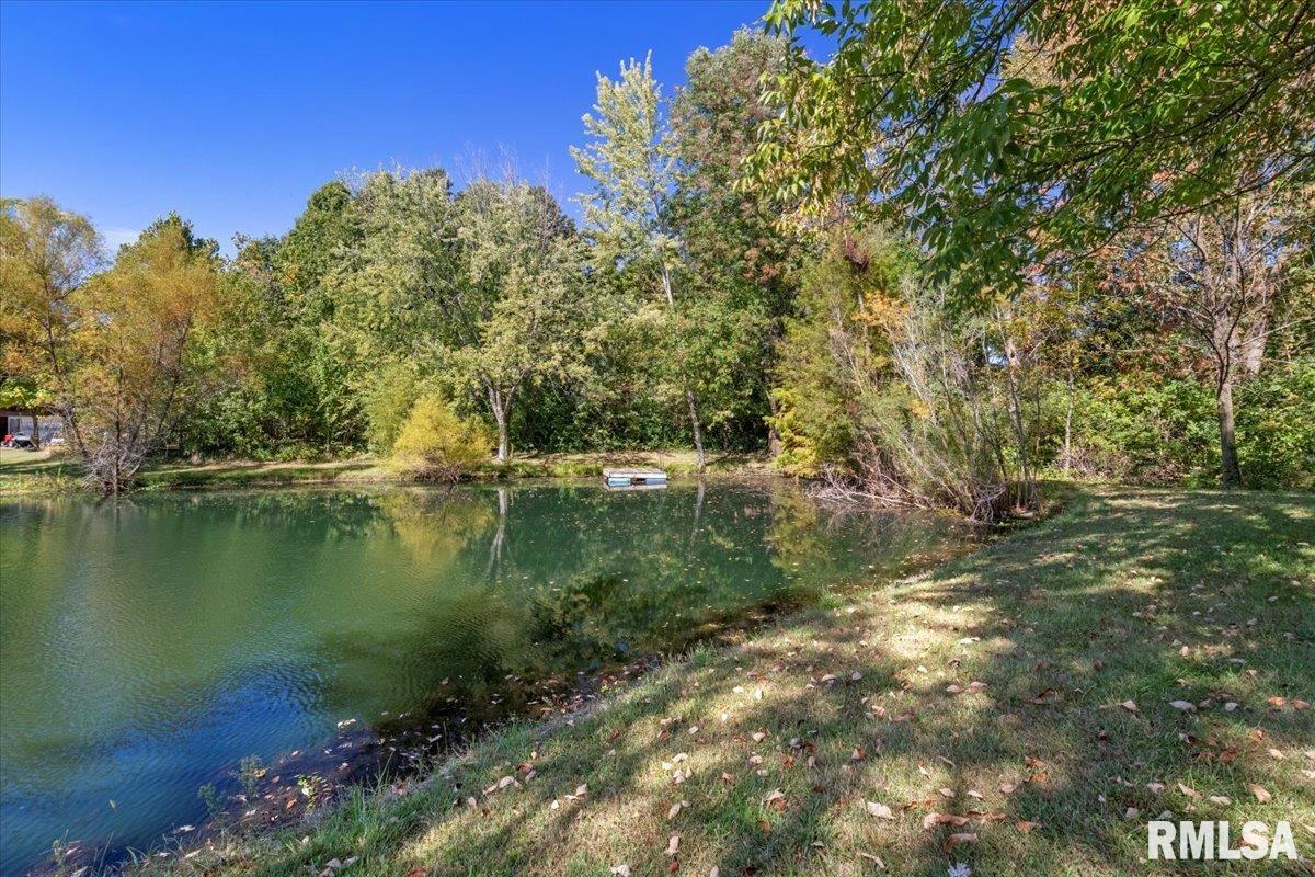 4007 Spaulding Orchard Road Springfield, IL 62711 - Photo 30 of 44