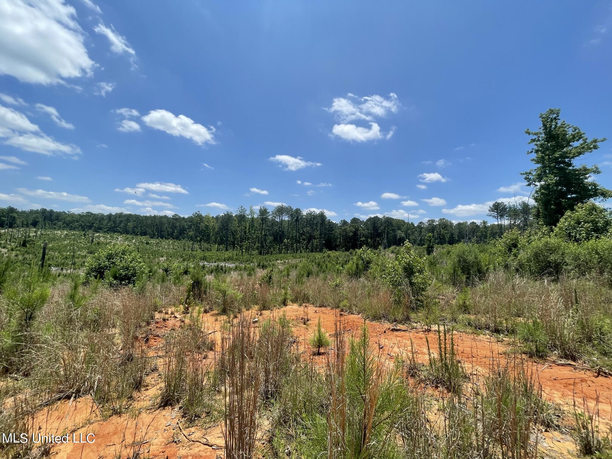 0 Mansell Road Camden, MS 39045 - Photo 3 of 16 IMG_5996