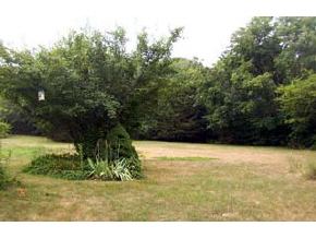 14 New Road North Hampton, NH 03862 - Photo 3 of 5 Gallery Image 3