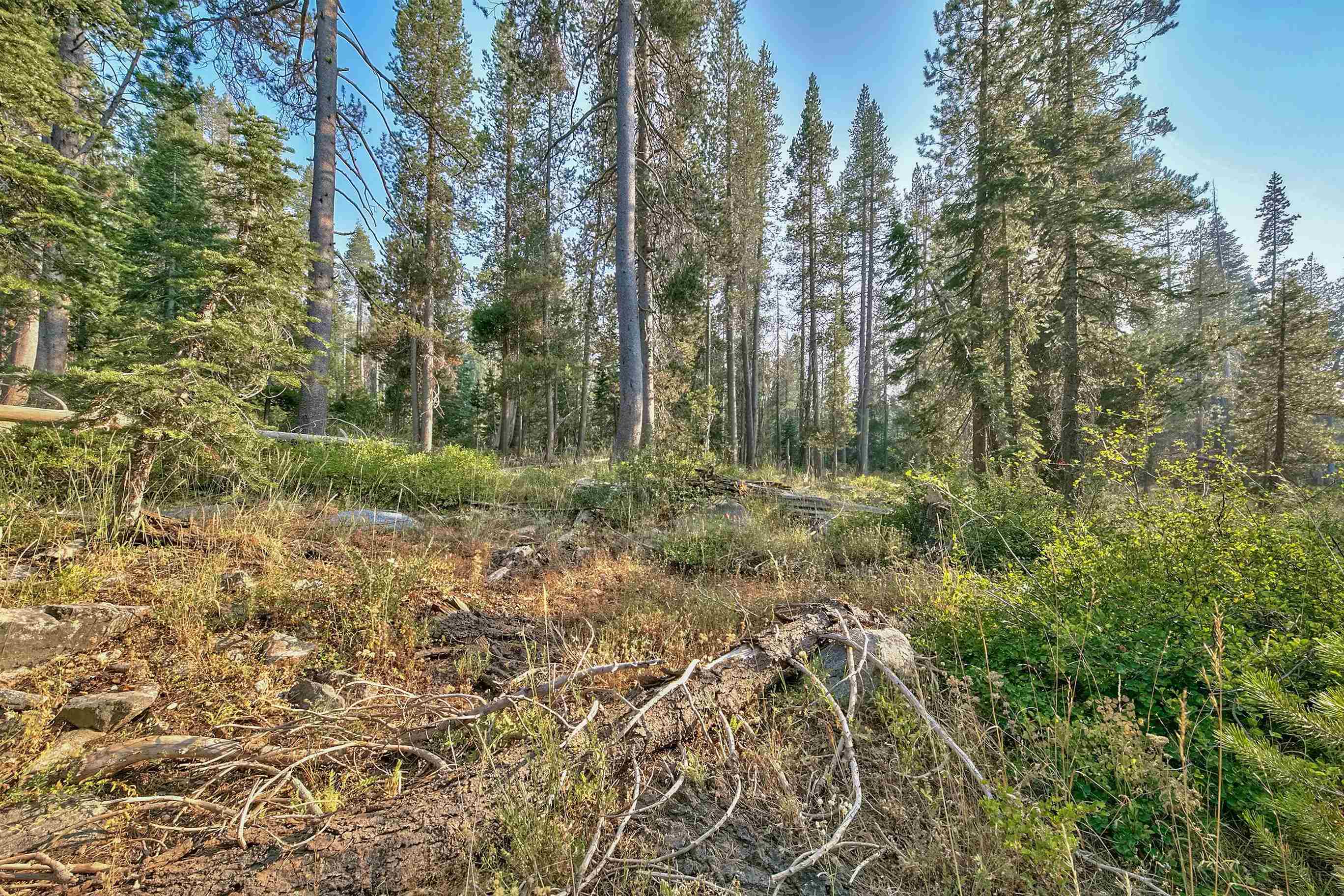 51357 Donner Pass Road Soda Springs, CA 95728 - Photo 5 of 17