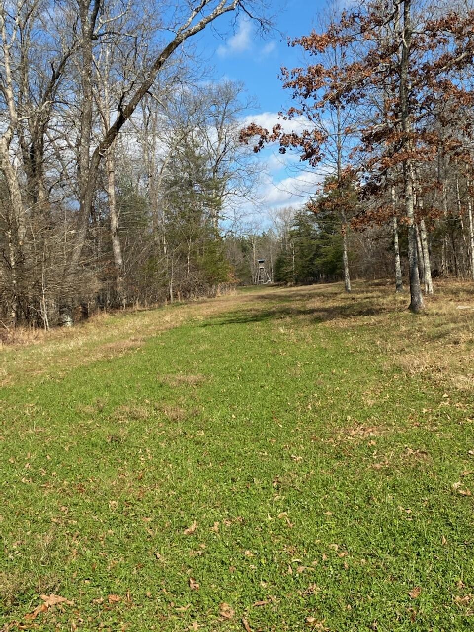 0 Wash Pelfrey Road Spring City, TN 37381 - Photo 10 of 20 Gallery Image 10