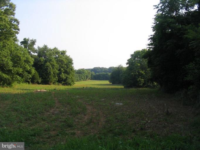 5 Monroe Road Boonsboro, MD 21713 - Photo 4 of 11 a view of field with trees in the background