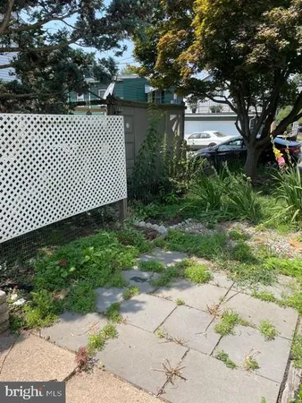 a view of a yard with plants and a bench