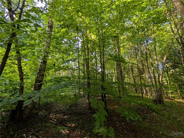 $24,900 | 0 Indian River, Theresa, NY 13691