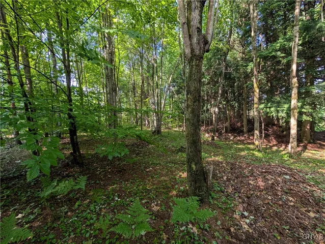 $24,900 | 0 Indian River, Theresa, NY 13691