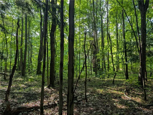 $24,900 | 0 Indian River, Theresa, NY 13691