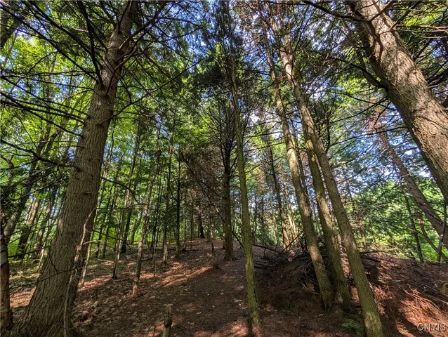 $24,900 | 0 Indian River, Theresa, NY 13691