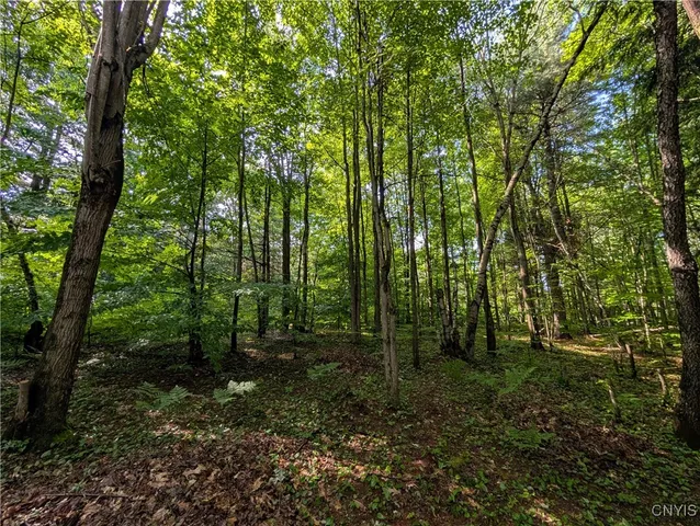 $24,900 | 0 Indian River, Theresa, NY 13691