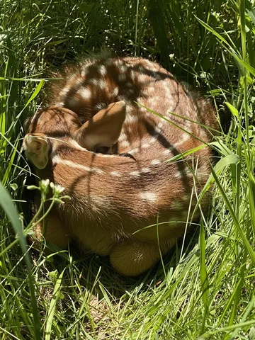 $1,475,000 | 1372 Mud Pond Road, Thetford, VT 05075