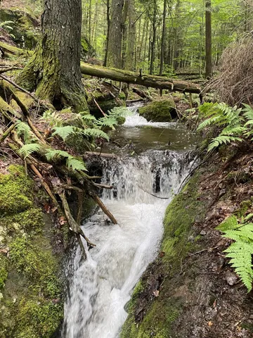 $1,475,000 | 1372 Mud Pond Road, Thetford, VT 05075