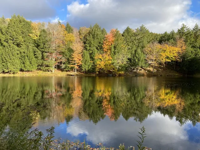 $1,475,000 | 1372 Mud Pond Road, Thetford, VT 05075