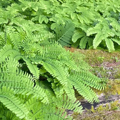 $1,475,000 | 1372 Mud Pond Road, Thetford, VT 05075