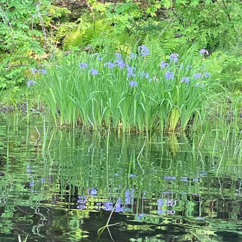 $1,475,000 | 1372 Mud Pond Road, Thetford, VT 05075