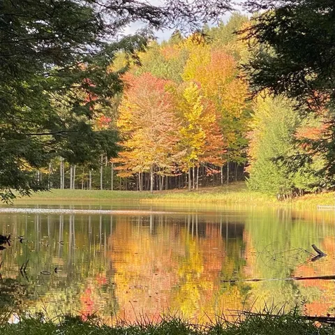 $1,475,000 | 1372 Mud Pond Road, Thetford, VT 05075